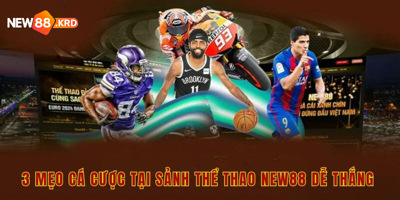 3 mẹo cá cược tại sảnh thể thao New88 dễ thắng